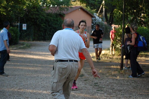 Solstizio d'estate (22/06/2011) 0081