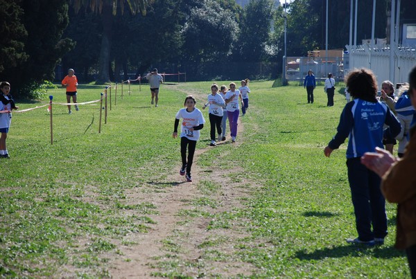 Trofeo Podistica Solidarietà (23/10/2011) 0005
