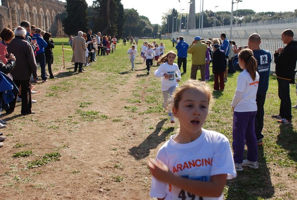Trofeo Podistica Solidarietà (23/10/2011) 0050