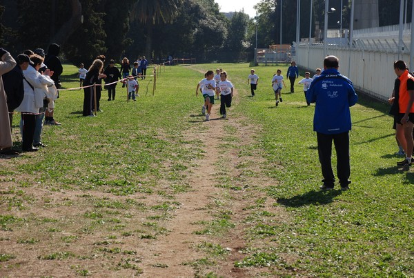 Trofeo Podistica Solidarietà (23/10/2011) 0060