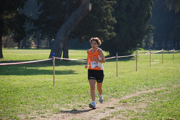 Trofeo Podistica Solidarietà (23/10/2011) 0105