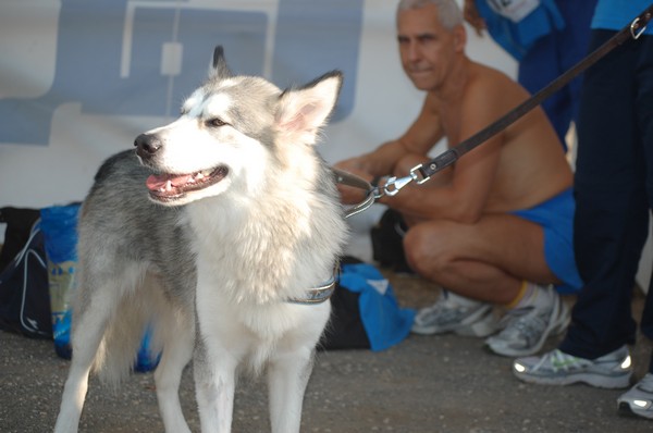 Corricolonna (25/09/2011) 0037