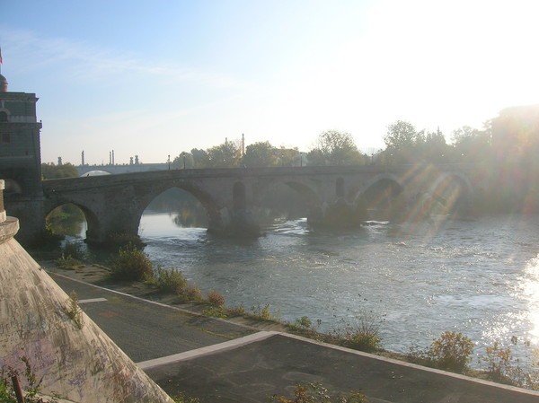 Di Corsa Verso la Sicurezza Stradale (27/11/2011) 0001