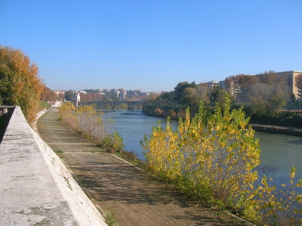 Di Corsa Verso la Sicurezza Stradale (27/11/2011) 0046