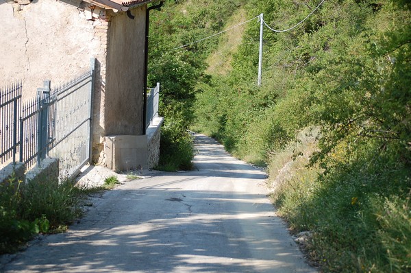 Mezza Maratona sui sentieri di Corradino di Svevia (03/07/2011) 0001