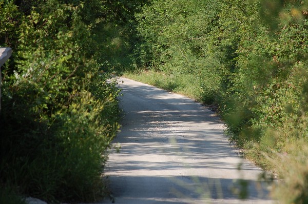 Mezza Maratona sui sentieri di Corradino di Svevia (03/07/2011) 0002