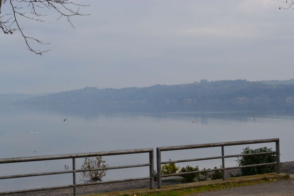 Giro del Lago di Bracciano (13/02/2011) 002