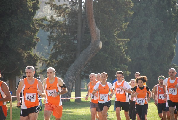 Trofeo Podistica Solidarietà (23/10/2011) 0045