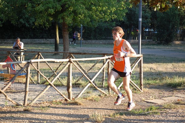 Solstizio d'estate (22/06/2011) 0047