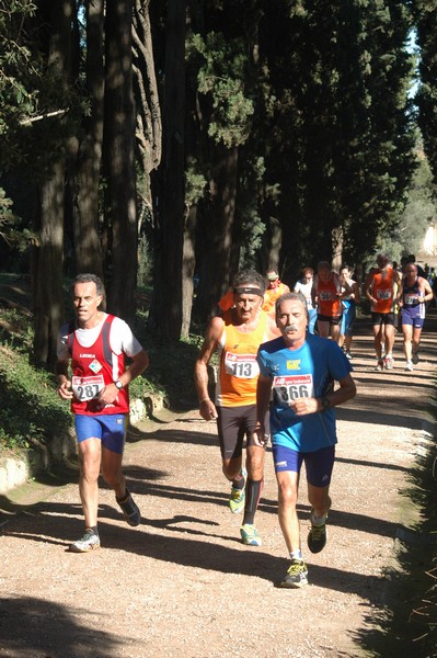 Corsa delle 3 Ville (14/10/2012) 0081