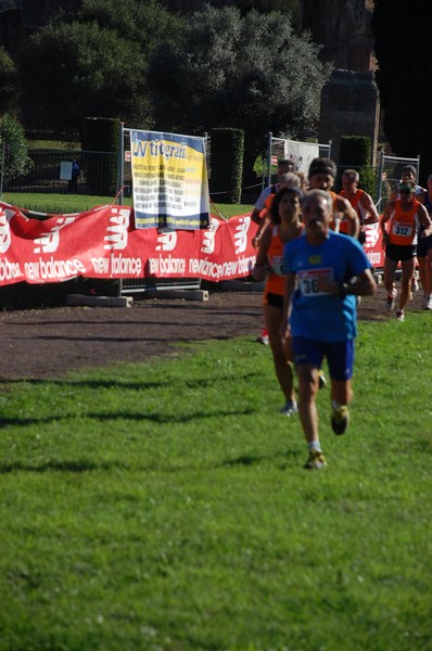 Corsa delle 3 Ville (14/10/2012) 00031