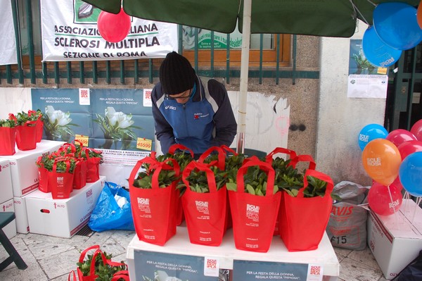Una Gardenia per l'AISM (03/03/2012) 0010