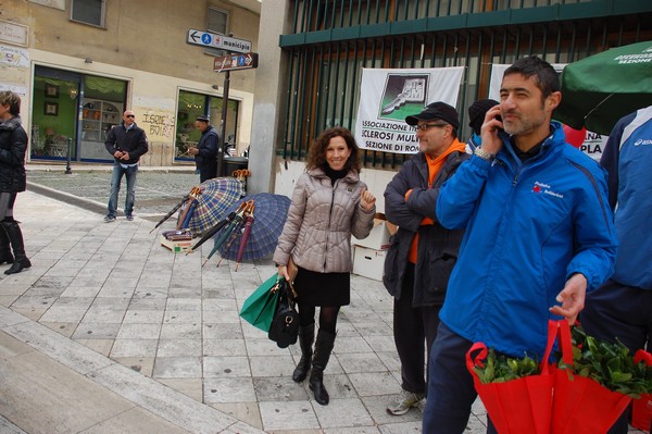 Una Gardenia per l'AISM (03/03/2012) 0015