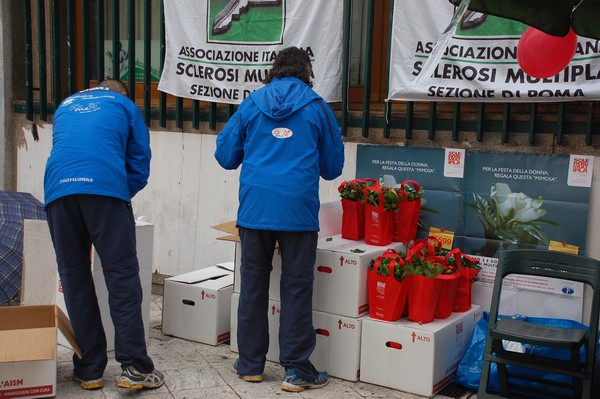 Una Gardenia per l'AISM (03/03/2012) 0021
