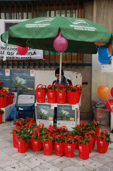Una Gardenia per l'AISM (03/03/2012) 0026