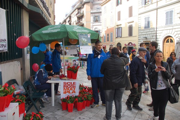 Una Gardenia per l'AISM (03/03/2012) 0032