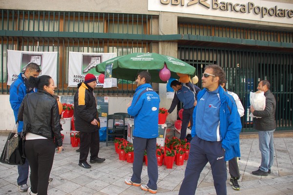 Una Gardenia per l'AISM (03/03/2012) 0034
