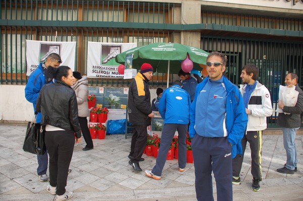 Una Gardenia per l'AISM (03/03/2012) 0035