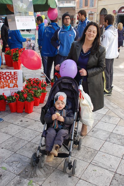 Una Gardenia per l'AISM (03/03/2012) 0046