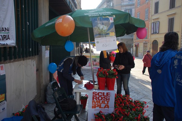 Una Gardenia per l'AISM (03/03/2012) 0050
