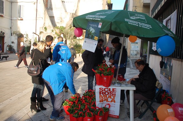 Una Gardenia per l'AISM (03/03/2012) 0057