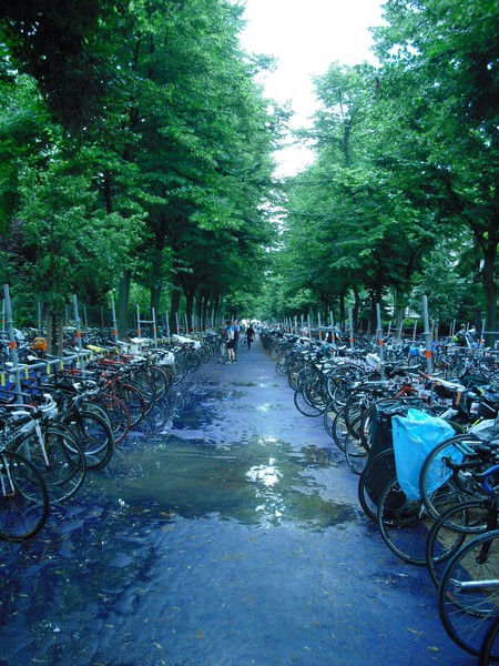 Triathlon de Paris-Ile de France. (08/07/2012) 00001