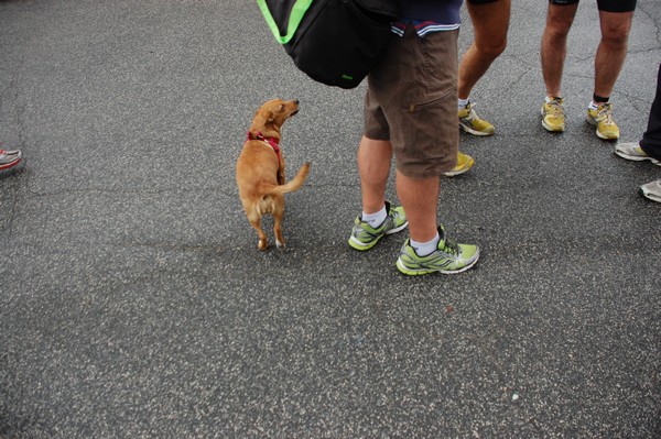 Corriflavio (06/05/2012) 0010