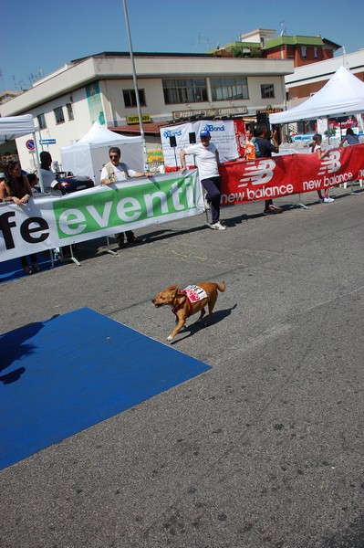 Corri nel Campus (13/05/2012) 0041
