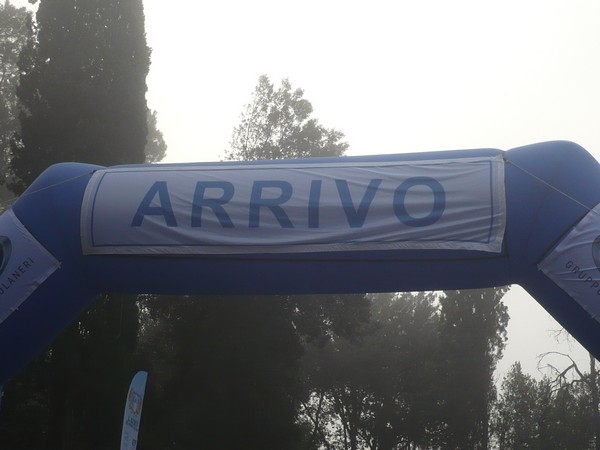 RUNAID's (25/11/2012) 00015