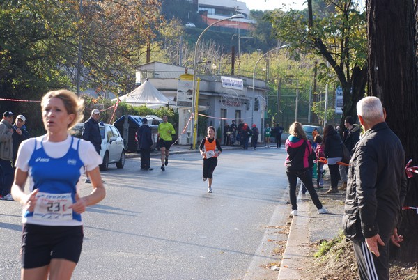 Mezza Maratona a Staffetta - Trofeo Arcobaleno (02/12/2012) 00029