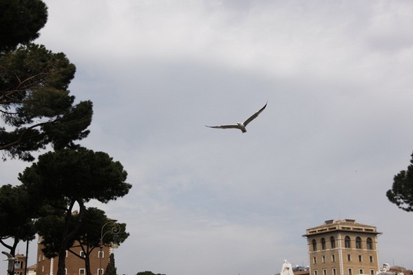 Maratona di Roma (18/03/2012) 0013