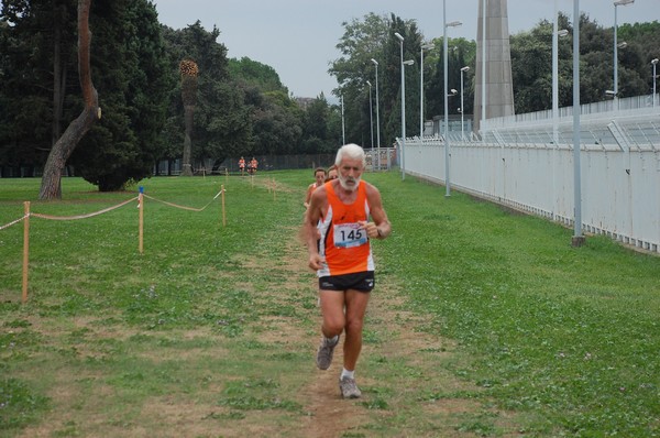 Trofeo Podistica Solidarietà (30/09/2012) 00029
