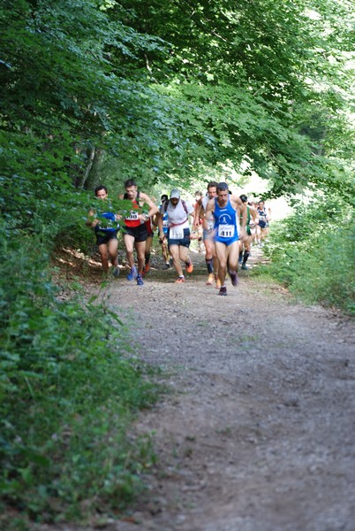Woman in Trail (01/07/2012) 00008