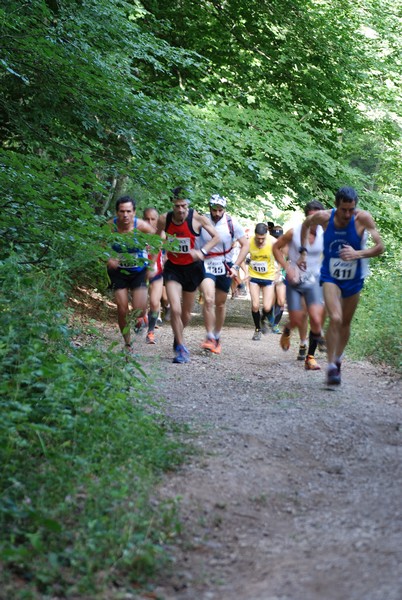 Woman in Trail (01/07/2012) 00009