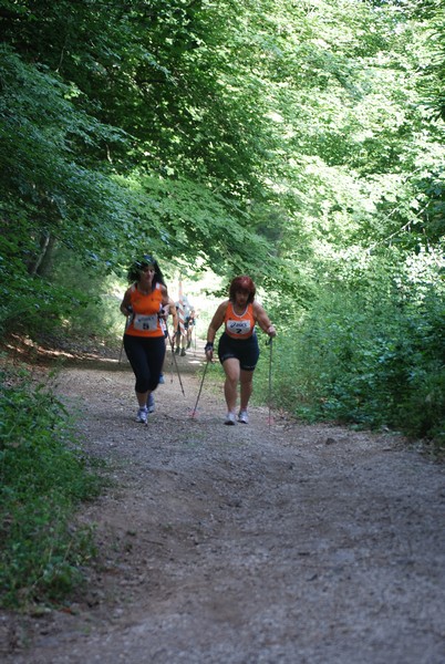 Woman in Trail (01/07/2012) 00010
