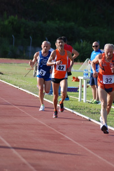 5000 in Pista a Rocca Priora (08/07/2012) 00049