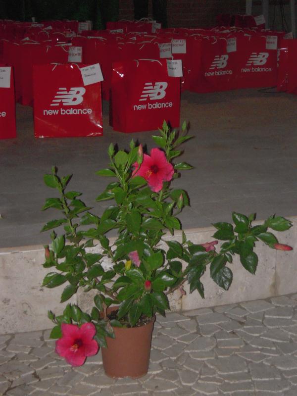 Circeo National Park Trail Race (25/08/2012) 104