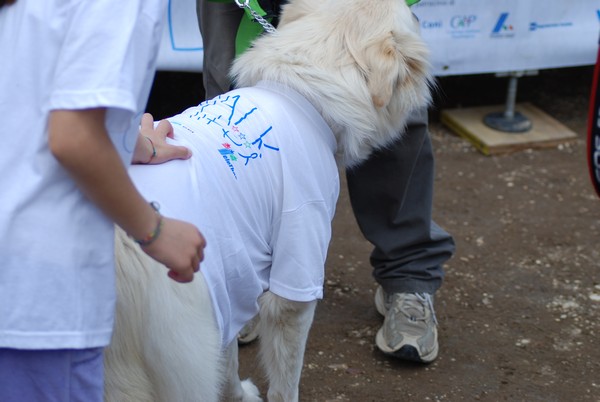 Walk of Life - Corri per Telethon (22/04/2012) 0094