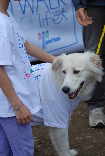 Walk of Life - Corri per Telethon (22/04/2012) 0096