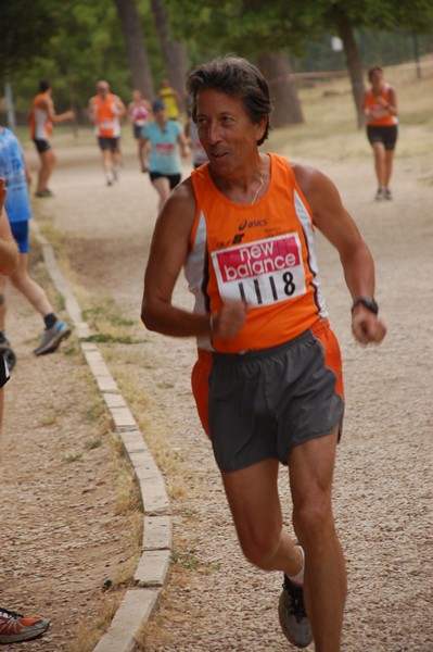 Solstizio d'estate (20/06/2012) 00014
