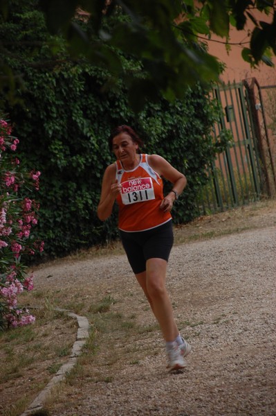 Solstizio d'estate (20/06/2012) 00020