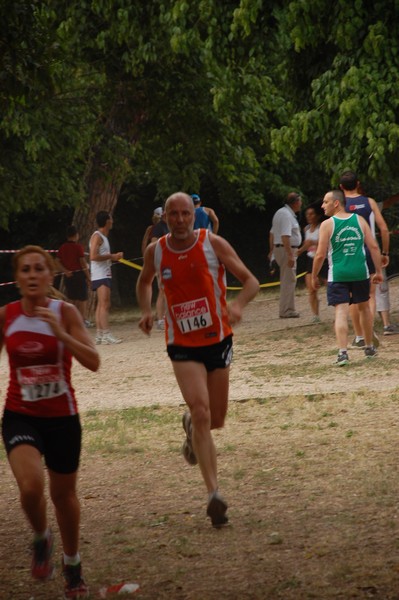 Solstizio d'estate (20/06/2012) 00045