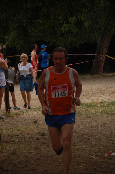 Solstizio d'estate (20/06/2012) 00050