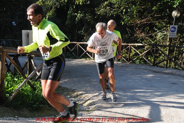 RUNAID's (25/11/2012) 00006