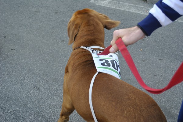 Maratona di Roma (18/03/2012) 0016