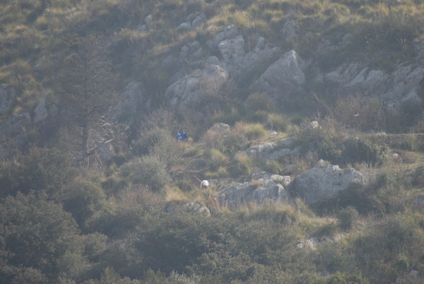 Tibur Ecotrail (04/03/2012) 0003