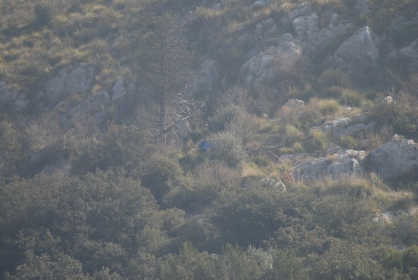 Tibur Ecotrail (04/03/2012) 0004