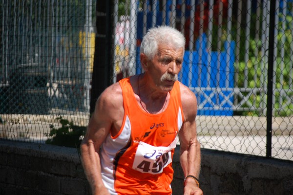 Maratonina di Villa Adriana (27/05/2012) 0037