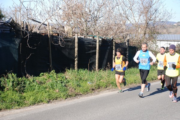 Giro del Lago di Bracciano (10/02/2013) 00068