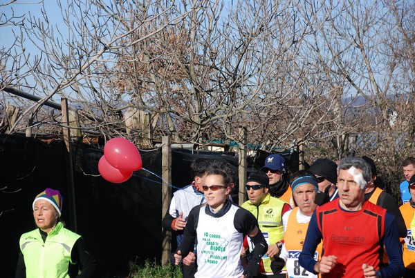 Giro del Lago di Bracciano (10/02/2013) 00110